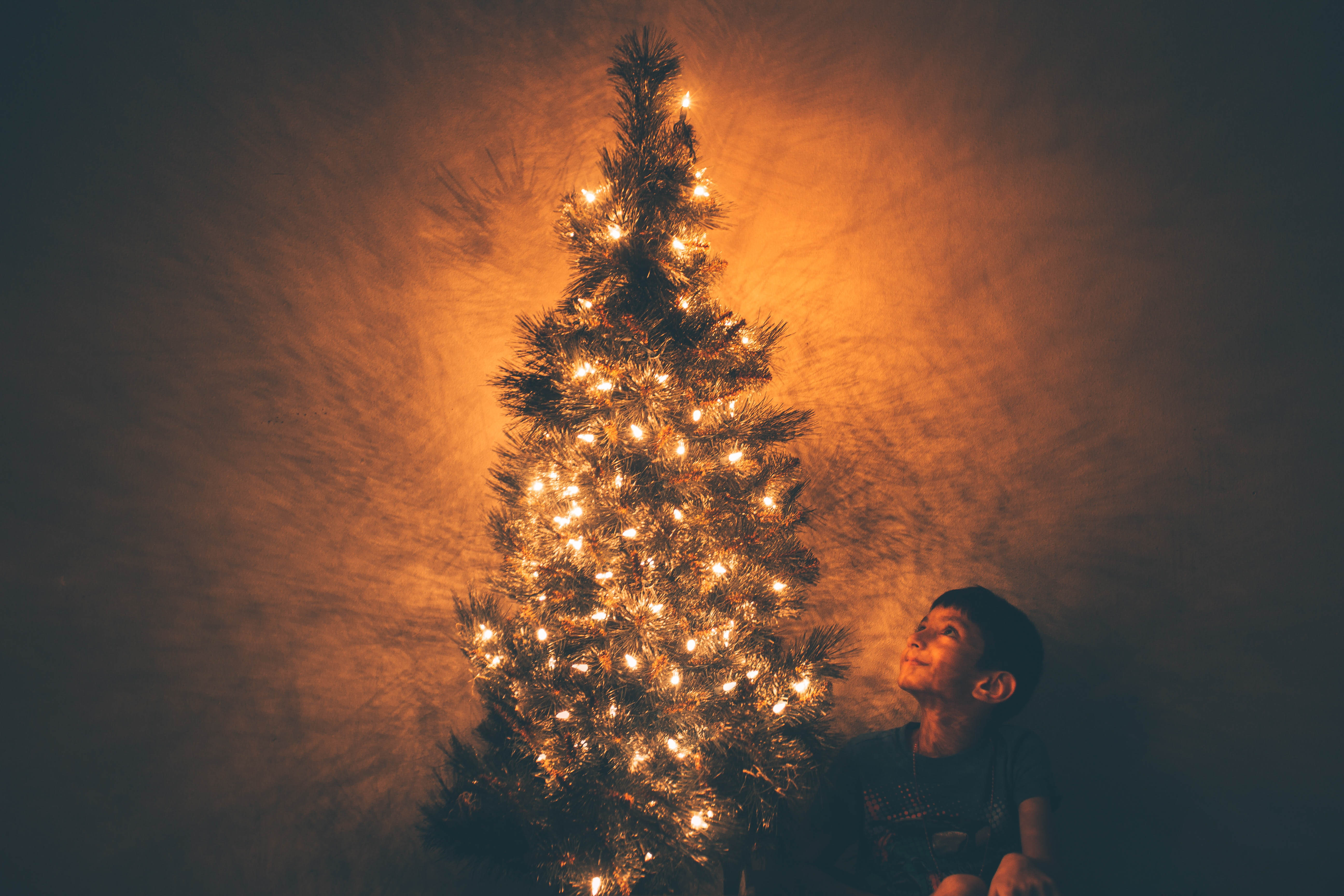 pic Christmas Photography photojaanic