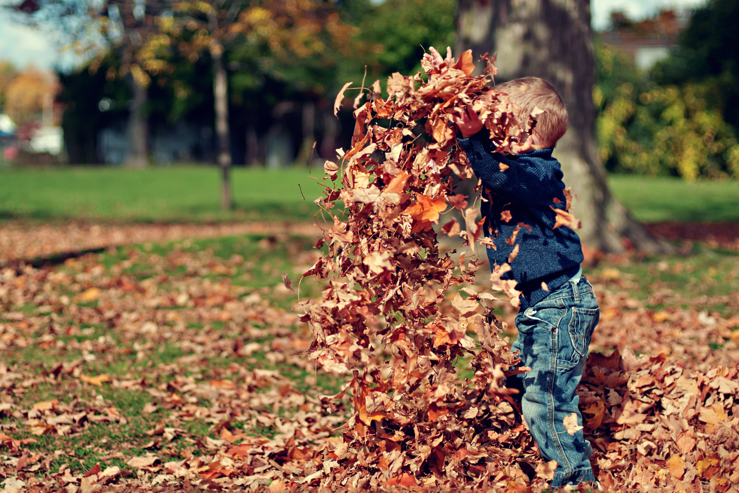 natural light photography tips for beginners - Photojaanic -118