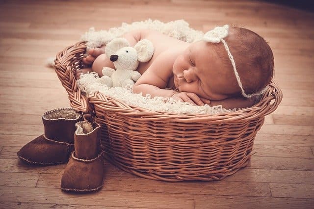 Basket deals baby photography