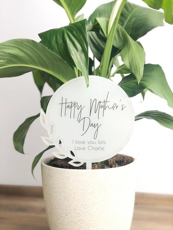 Mothers-day-plant-pot-with-a-note