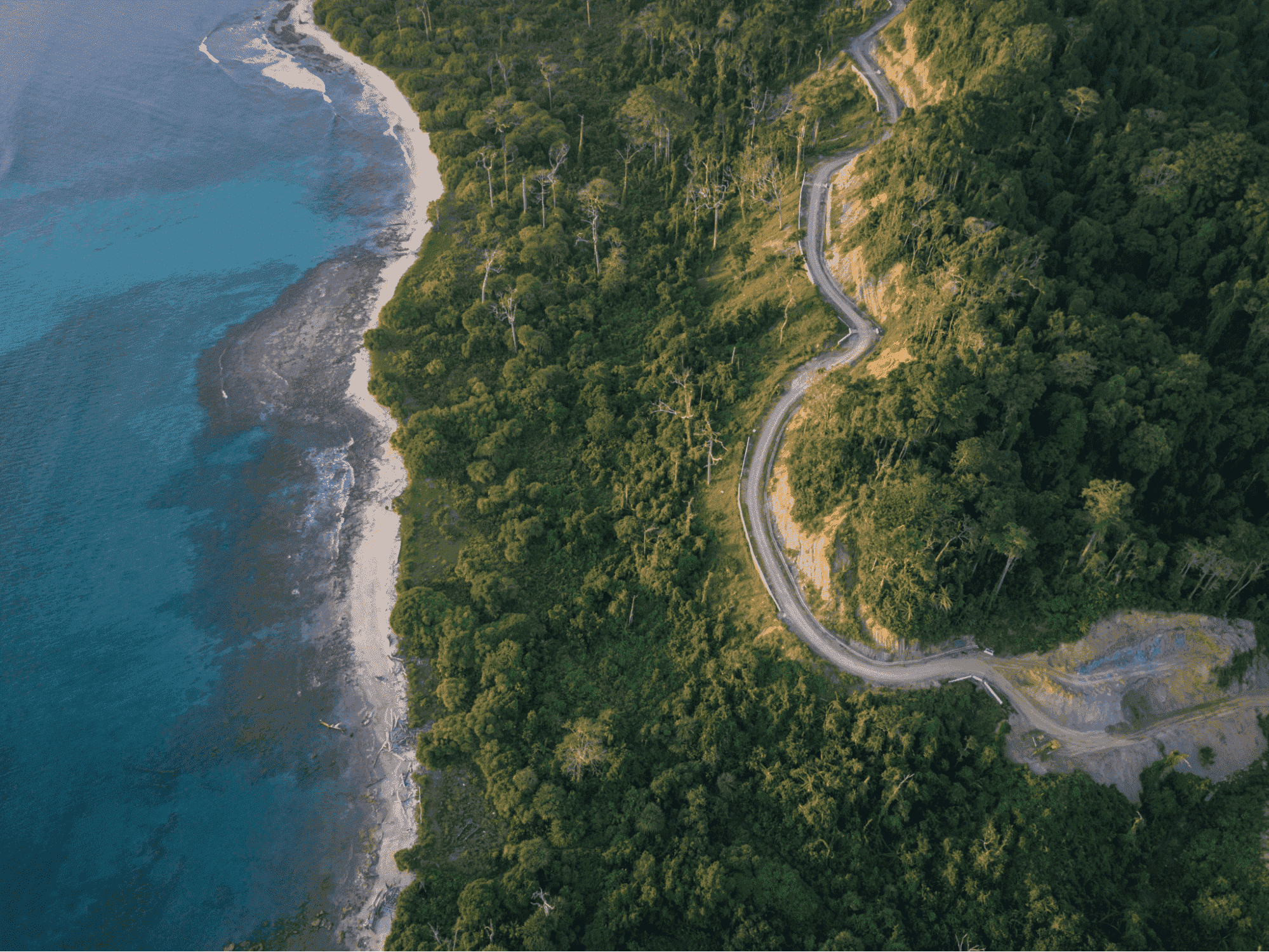 A beautiful Havelock Island beside a sea