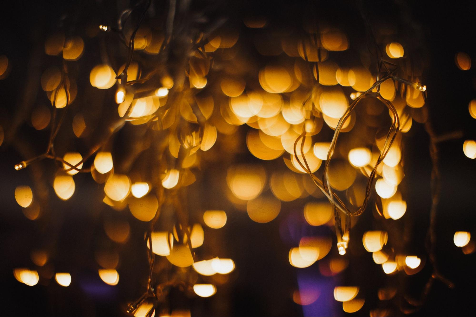 Fairy Lights Galore: Magical Diwali with sparkling fairy lights.