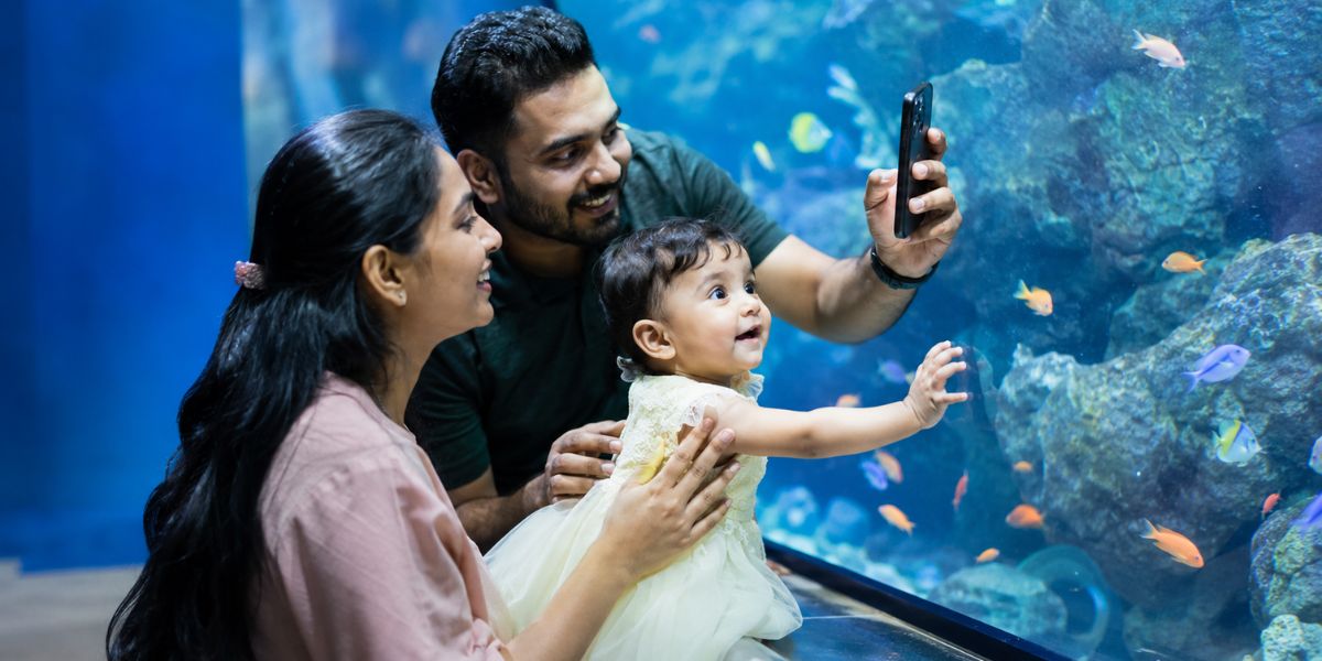 Toddler at the zoo as a 1st birthday celebration idea